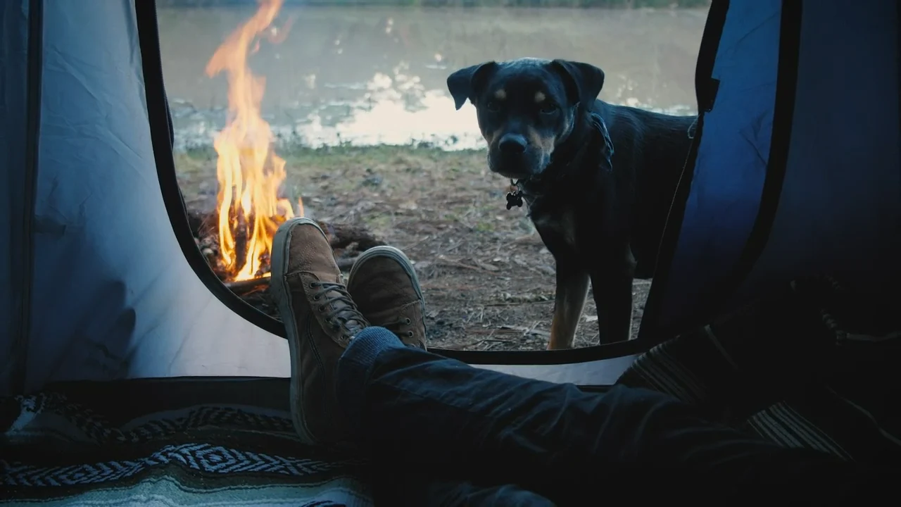 campfire talks