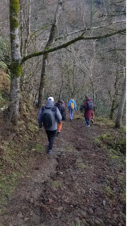forest walks